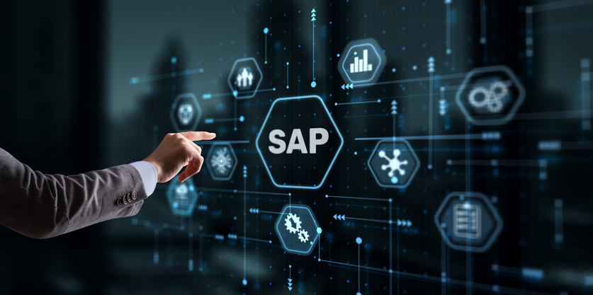 Find an SAP Business One Consultant